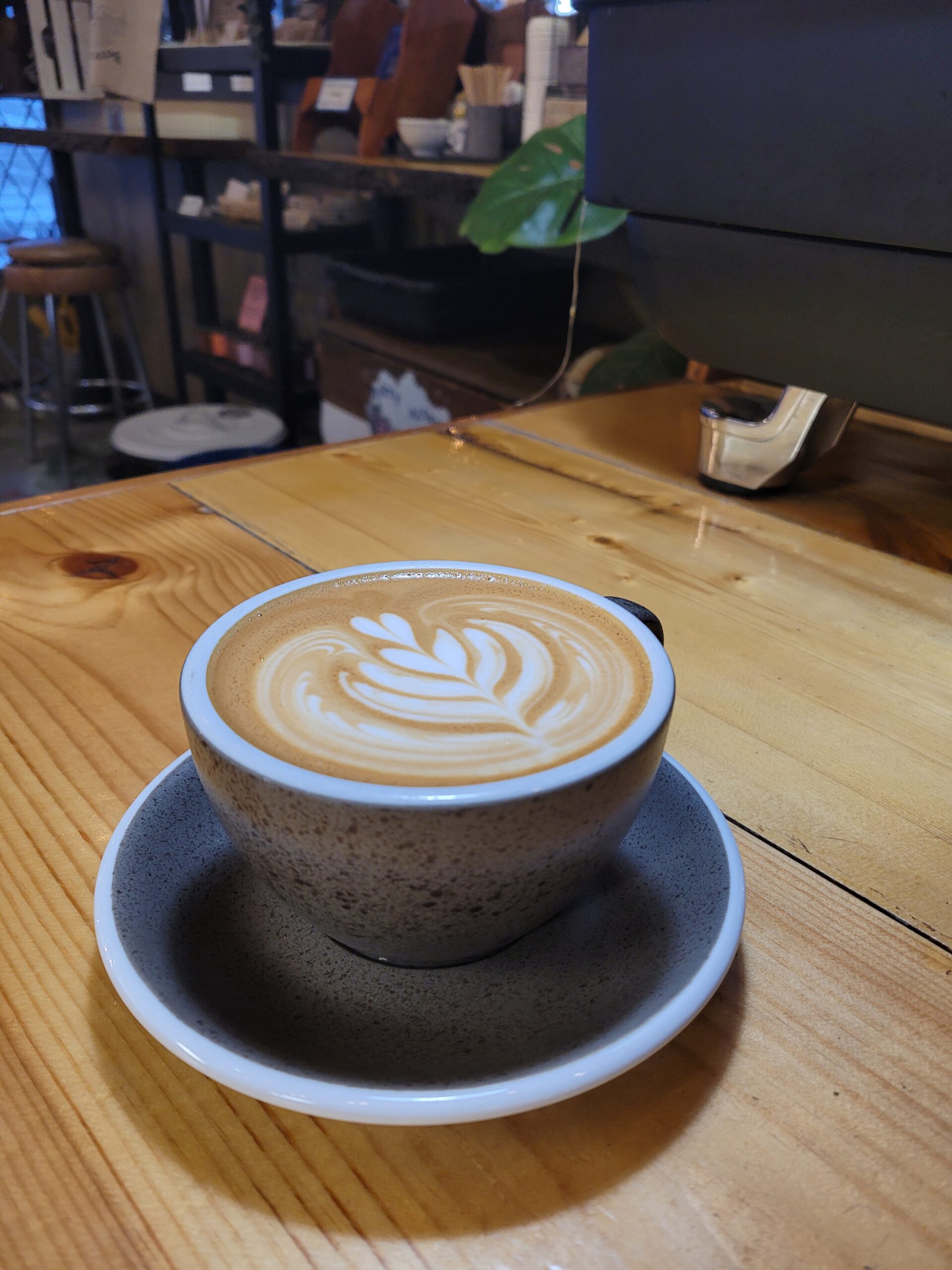 Juu’s Journal Day 12: holding my first Latte Art Class!!!